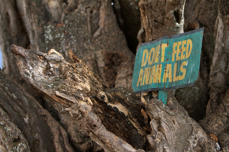 dont feed animalsの写真素材