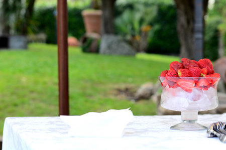 The wedding and the cateringの写真素材