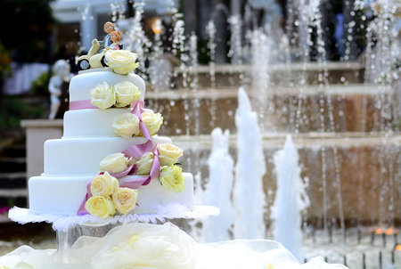 The wedding and the cakeの写真素材