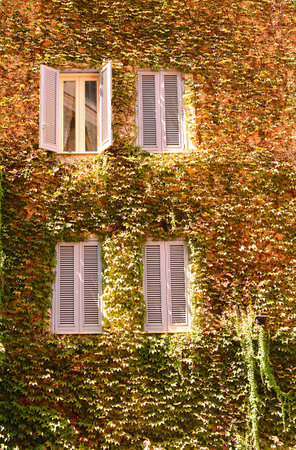the house and the ivyの写真素材