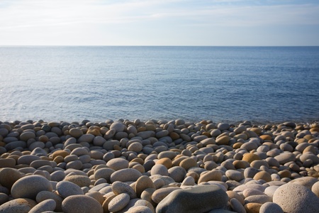 Sea coast in the early morning. Summer.