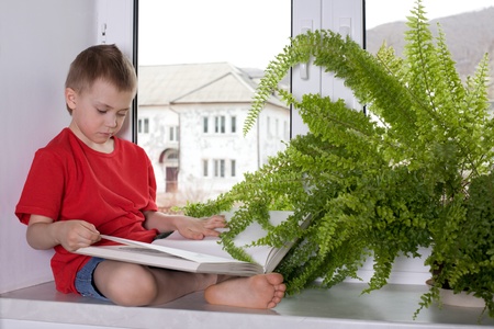Preschooler boy reading a book by the window in the apartment.の写真素材