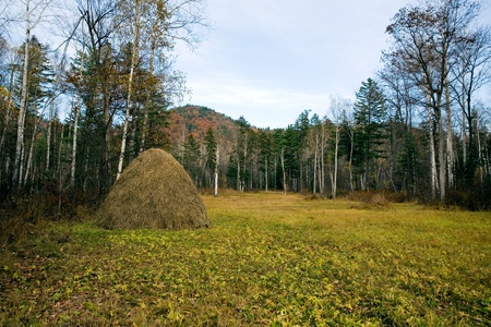 Fall.Haystack, forest & hill.Evening.