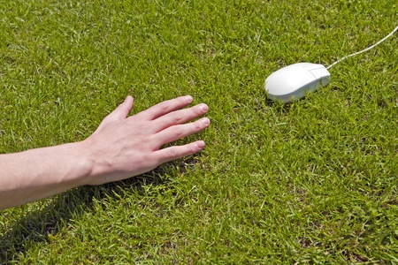 grey mouse escapes by hand the person. の写真素材