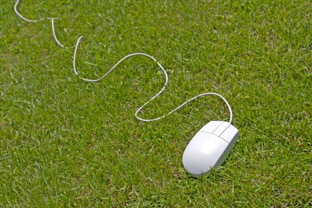 grey mouse from a computer lays on a lawn. の写真素材