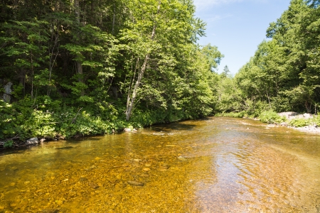 Clean river in a mountain area.
