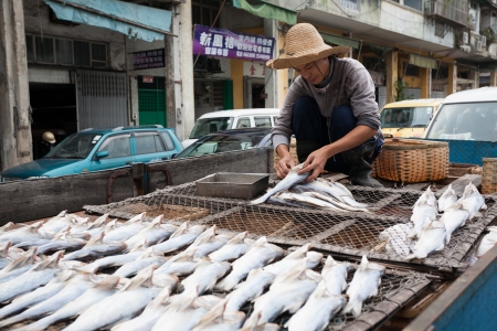 MACAU - OCTOBER 30: Fisherman prepares fish for drying on the grid in the fishing port on October 30, 2012 in Macau, China. Fishing industry provides internal needs Macao  products harvested in the sea.のeditorial素材