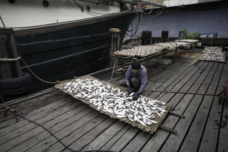 MACAU - OCTOBER 30  Fisherman prepares fish for drying on the grid in the fishing port on October 30, 2012 in Macau, China  Fishing industry provides internal needs Macao products harvested in sea のeditorial素材