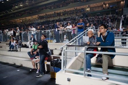 HONG KONG, CHINA - NOVEMBER 14, 2012: Sha Tin Racecourse - Spectators watching horse races. Racecourse of the first class, very popular with locals and tourists, and accommodates 83,000 spectatorsのeditorial素材