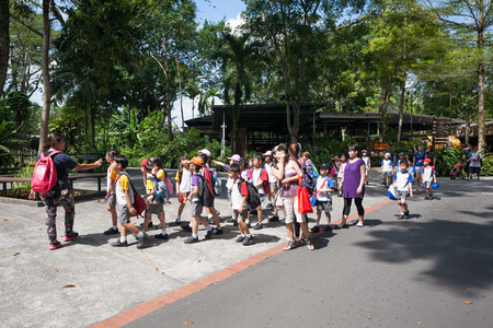 SINGAPORE - NOVEMBER 07, 2012: Group of elementary school children with teachers on excursions to Singapore Zoo. Singapore Zoo is very popular among tourists and residents of Singapore.のeditorial素材