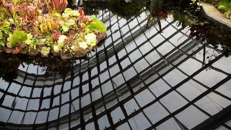 Architectural elements are reflected on the water surfaceの写真素材