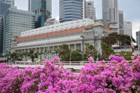 Central business district of Singapore with flowers in the foreground. Focus on flowers.のeditorial素材