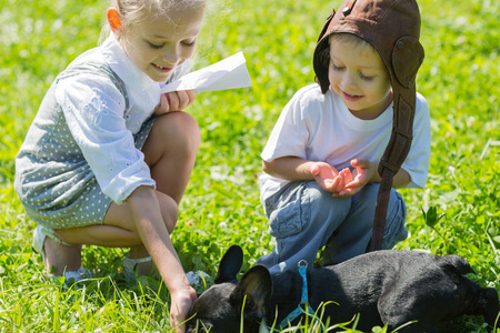 Happy kids playing with the dog (French bulldog) on the grass. Brother and sister.の写真素材