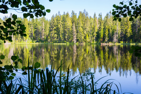 Beautiful Lake nature reserve on the island of Valaam. Karelia, north of Russia.の写真素材
