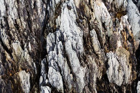 Background with natural rocks by the seaの写真素材