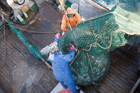 Fishermen lifted a trawl with fish aboard a ship in the Sea of Japanの写真素材