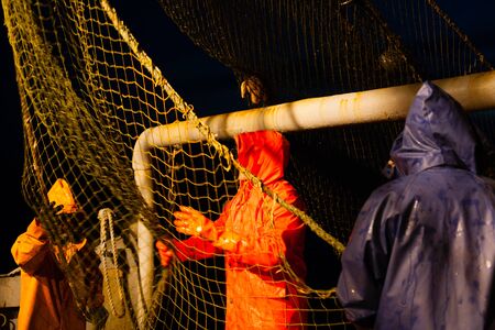 Fishermen choose a trawl with fish on board the ship in Japanese Seaの写真素材