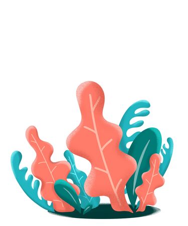 Colorful plants on a white isolated background.の写真素材