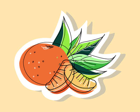 Vector illustration of a tangerine with tangerine slices on a background of leaves. Doodle style with offset outline.のイラスト素材