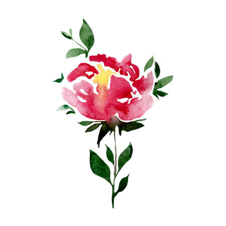 Vector illustration of a watercolor pink rose.のイラスト素材