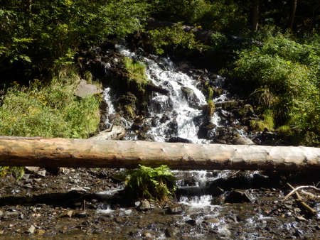 Waterfall - BÃ­lÃ¡ Opava in JesenÃ­ky in the Czech Republic. Fallen tree across the river.の写真素材