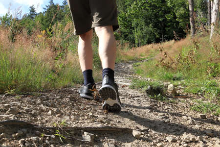 A hiker walks along a rocky path. Outdoor shoes with non-slip soles. Man in the woods. Plants,...
