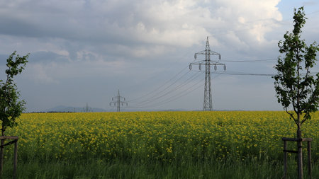 High voltage pylons. Field with flowering oilseed rape. High voltage power lines. Electrical distribution network. Infrastructure.の写真素材