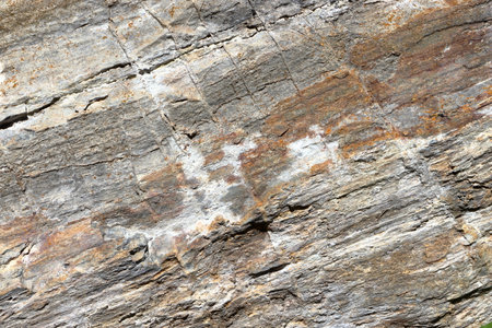 Stone background. Rock texture. Orthogneiss and gneiss rock.の写真素材