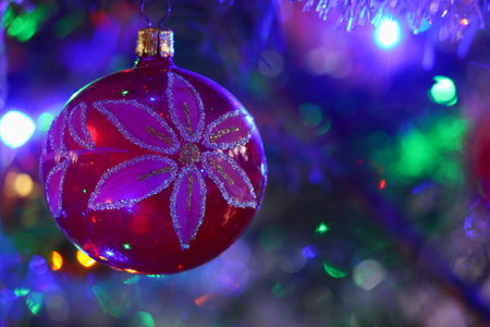 Red Christmas decoration. Red ball on a coniferous branch. Blurred background. Festive atmosphere. Branch of an evergreen tree.の写真素材