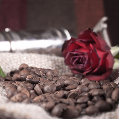 close up of red rose on coffee beansの写真素材