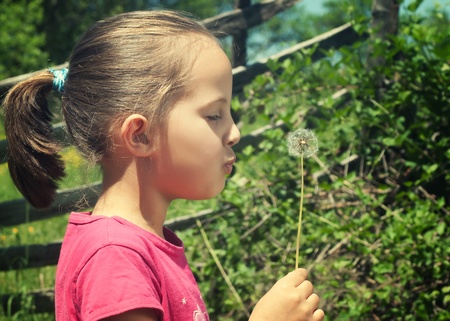 A cute child blowing a dandelion.の写真素材