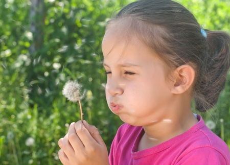A cute child blowing a dandelion.の写真素材