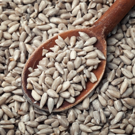 Close up of Sunflower seeds in wooden spoonの写真素材