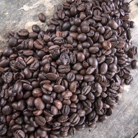 coffee beans background filledの写真素材