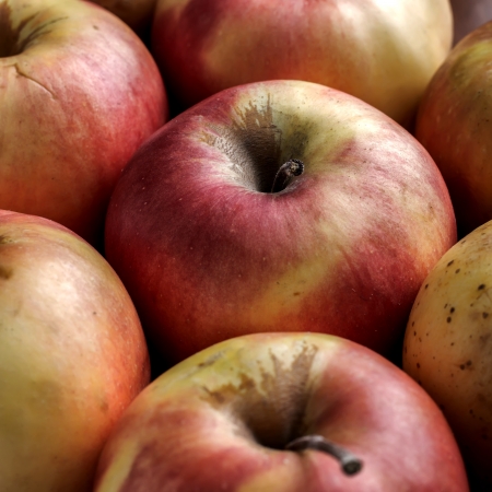 background filled with red apples.の写真素材