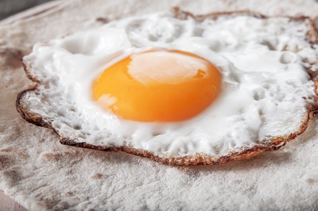 Fried egg on grilled flour tortilla, close upの写真素材