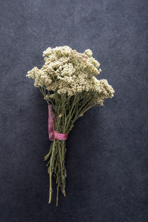spice, herbal plants on  table , top viewの写真素材