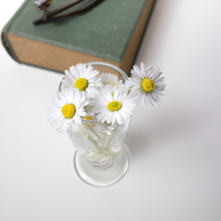 Bouquet of daisies on wooden table, close upの写真素材