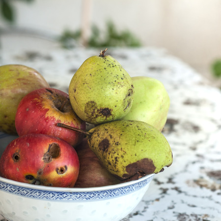 Organic  apples and pears on the table, outdoorの写真素材