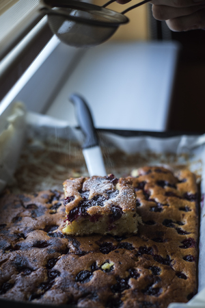 Homemade cherry pie in close upの写真素材