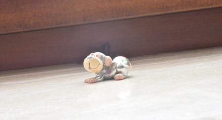 little dog down on a marble slab