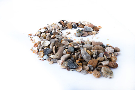 Spiral from sea stones and seashells