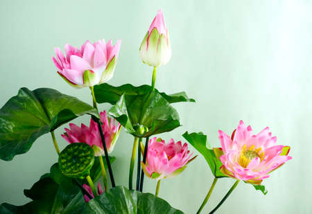 Decoration artificial flowerの写真素材