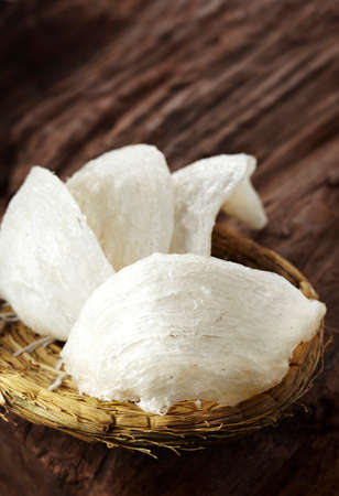 Closeup of tonic, bird's nestの写真素材