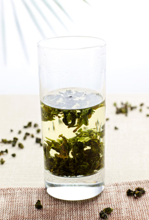 A glass of green tea with mint leaves on a white background.の写真素材