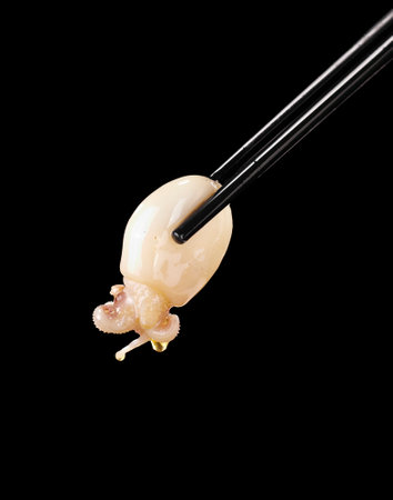 Delicious Chinese food, spicy cuttlefishの写真素材