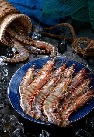 Fresh wild seafood ingredients, shrimpの写真素材