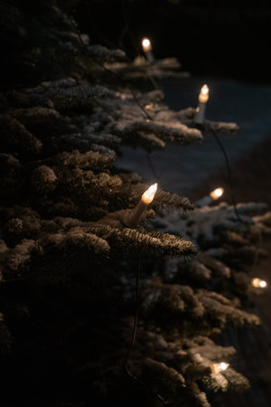 Christmas lights on a snowy treeの写真素材