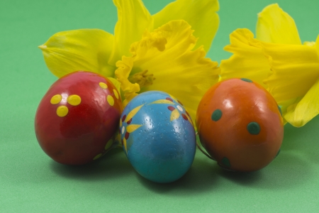 Easter eggs before daffodilsの写真素材