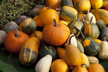 Pumpkins